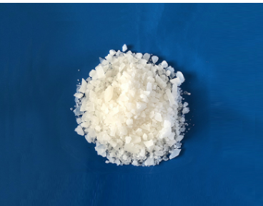 91免费看片视频