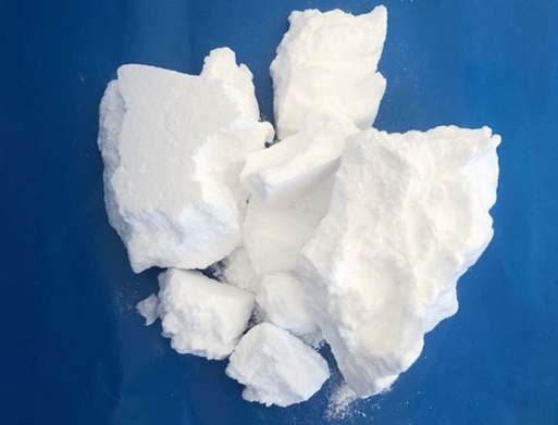 无水91免费看片视频