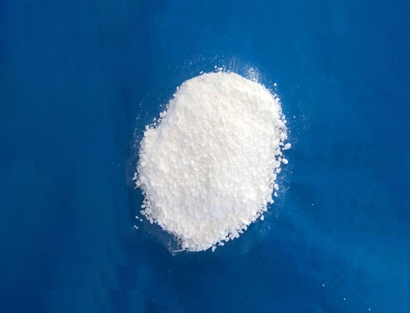 无水91免费看片视频